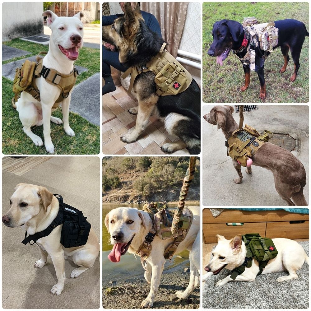 Control Companion Pro™ Tactical Dog Harness