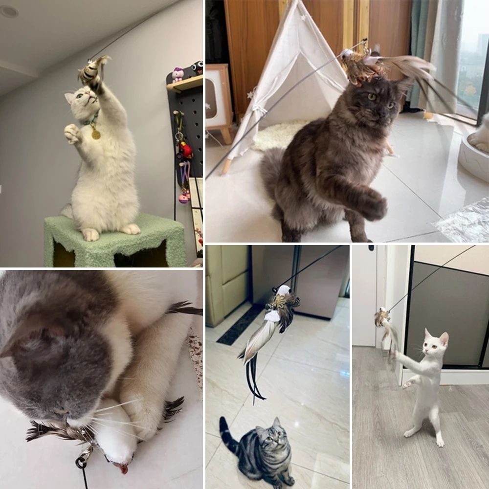 Feather Frenzy™ Interactive Cat Toy