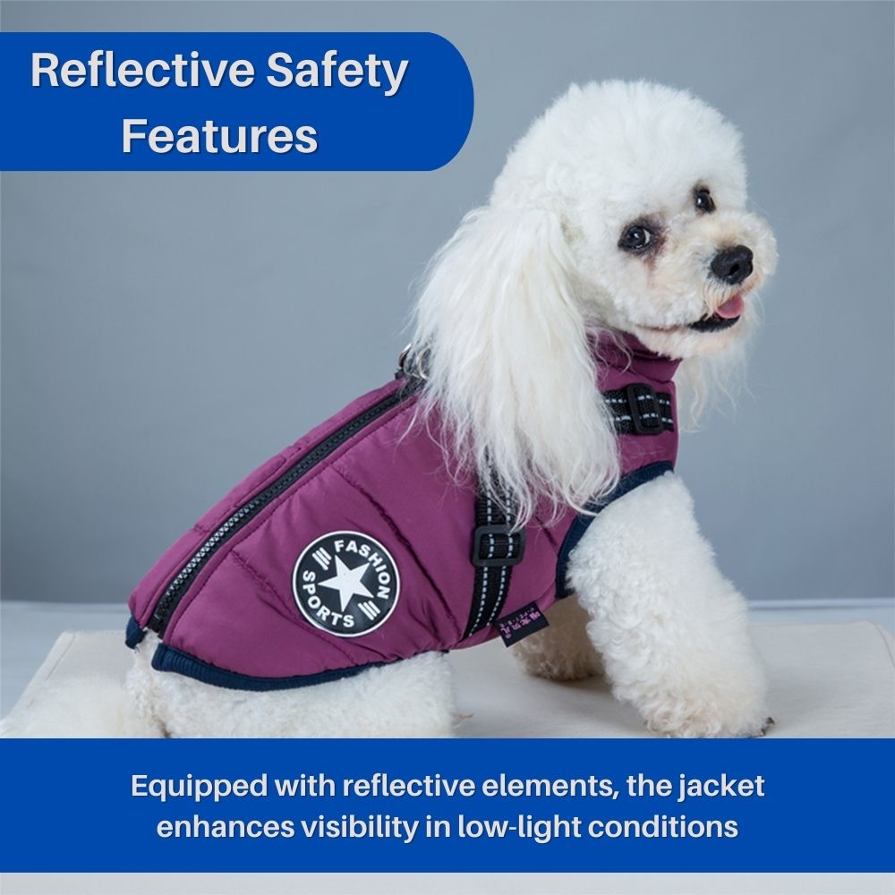 CanineGuard™ 3-in-1 Dog Jacket