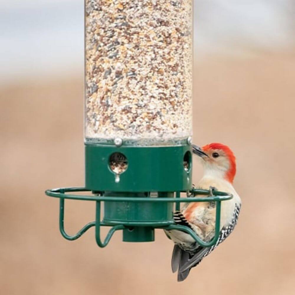 SpinAway™ Anti-Squirrel Bird Feeder