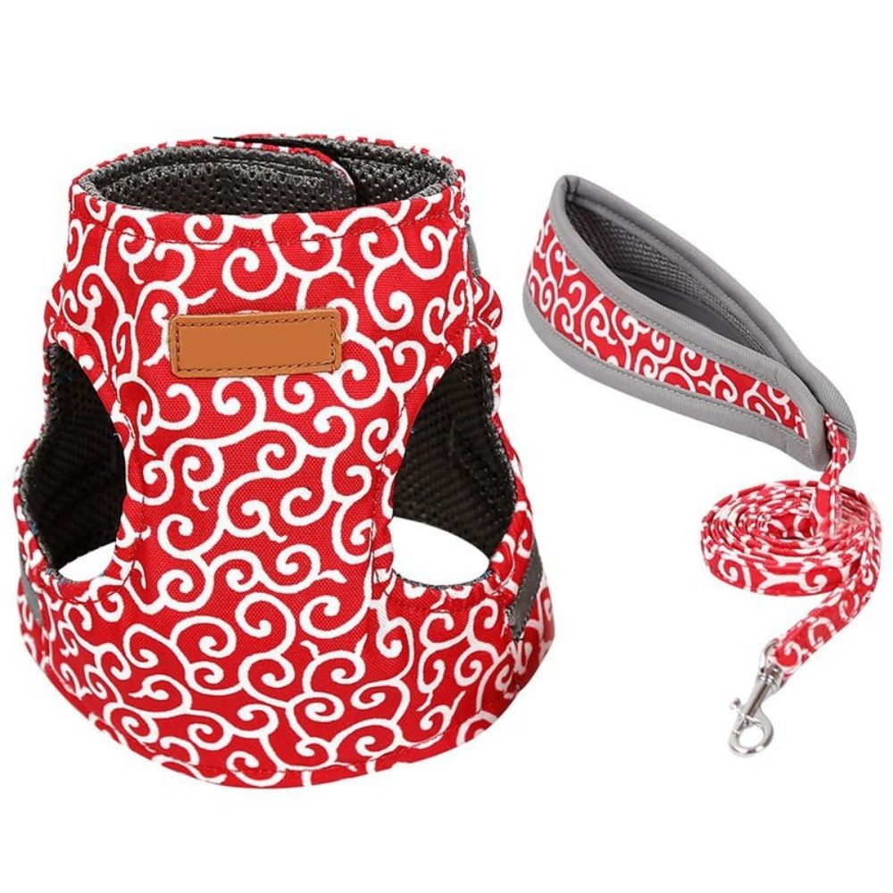 Purrfect Paws™ Cat Harness And Leash Set