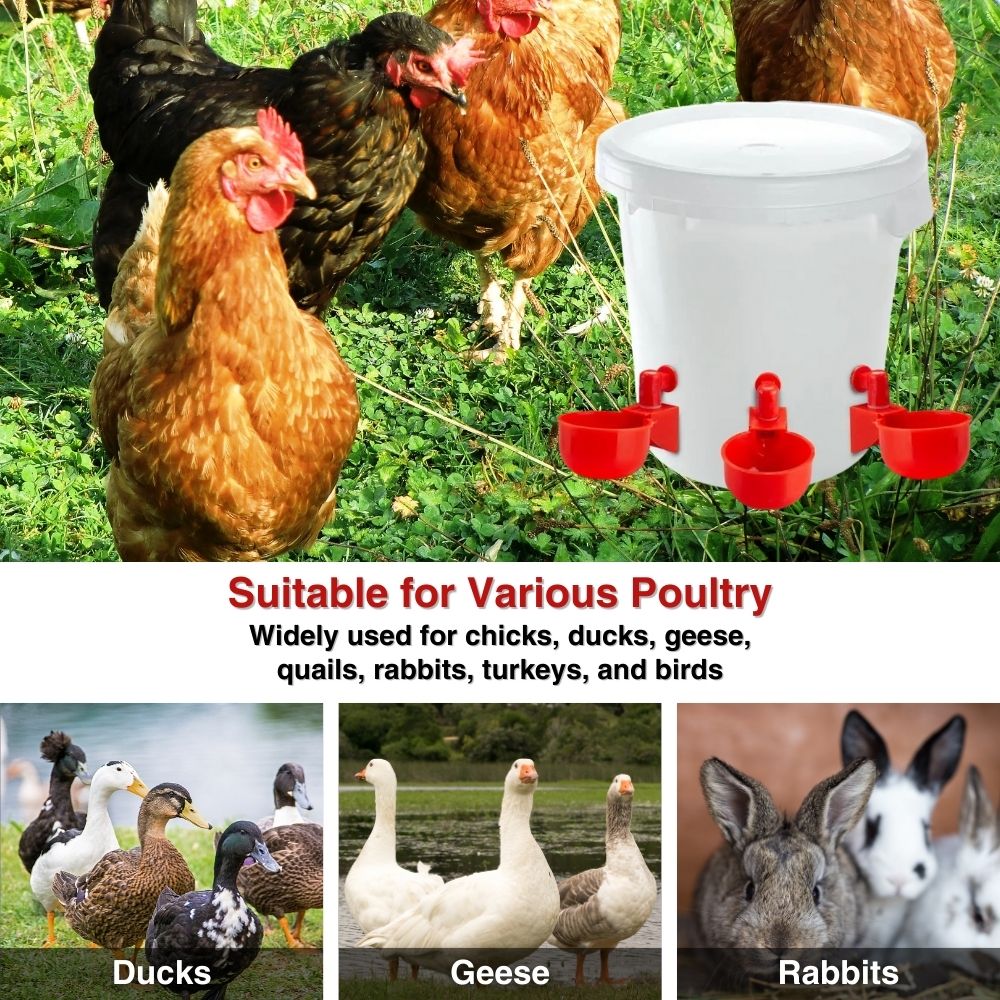 EverSpring™ Automatic Chicken Water System