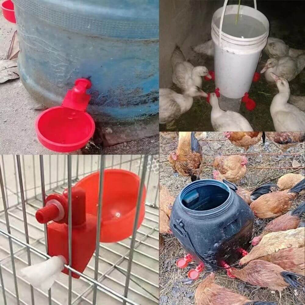 EverSpring™ Automatic Chicken Water System