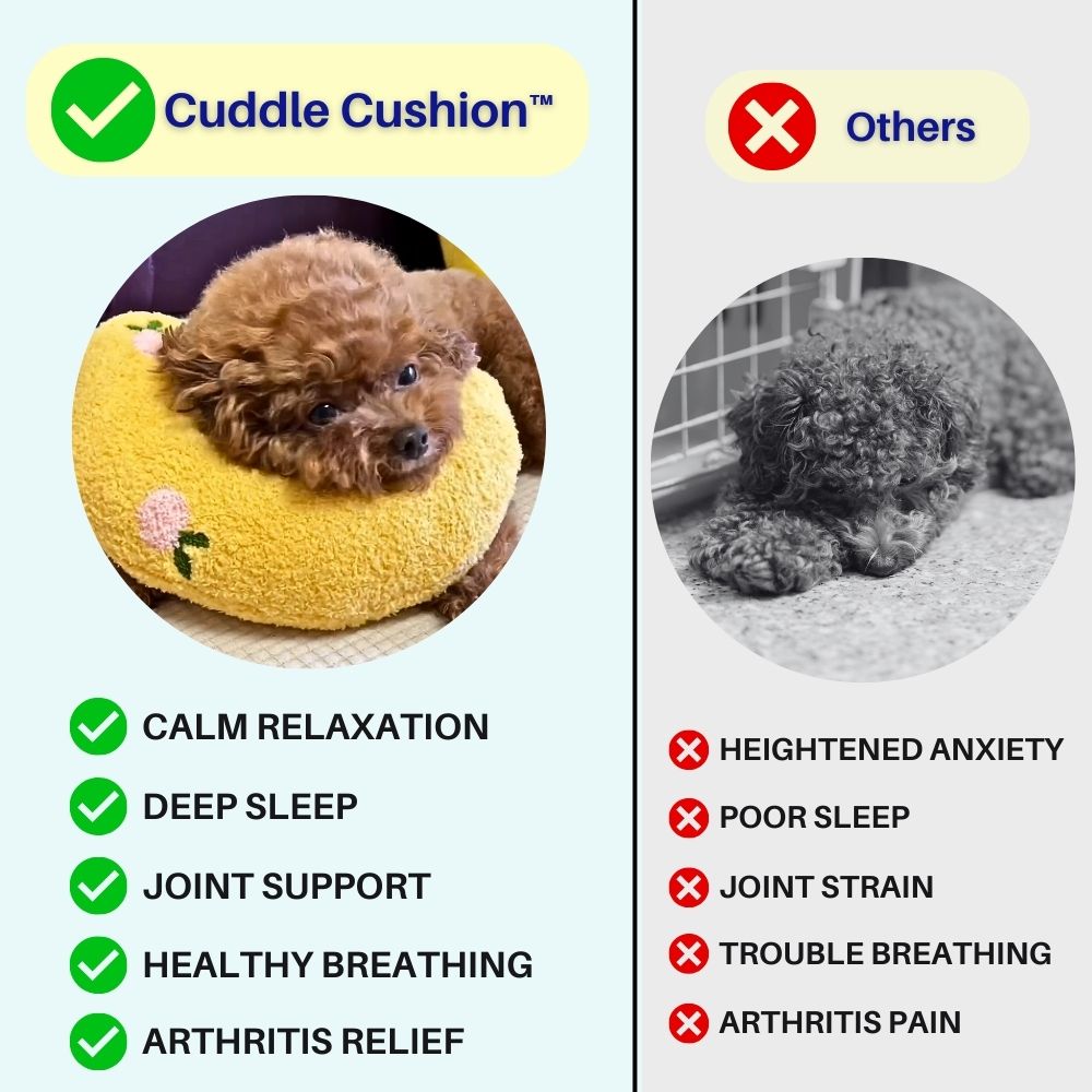 Cuddle Cushion™ Calming Dog Pillow