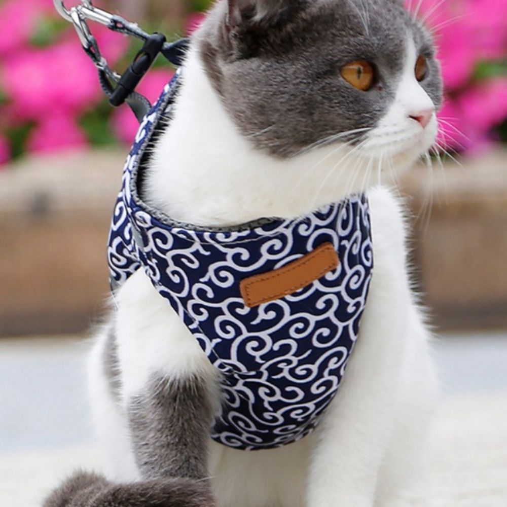 Purrfect Paws™ Cat Harness And Leash Set