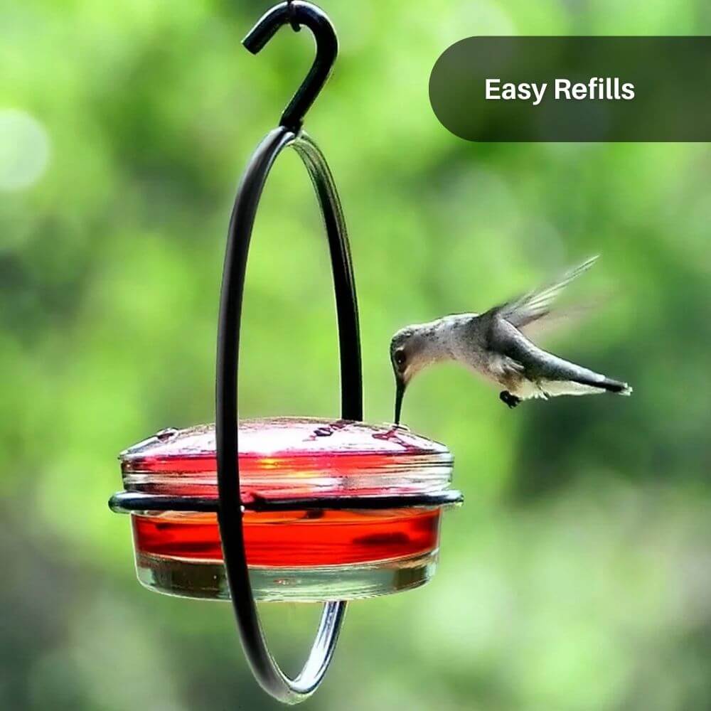 BloomHaven™ Hummingbird Feeder