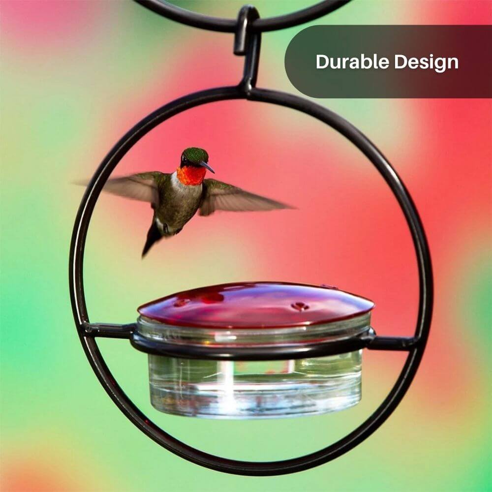 BloomHaven™ Hummingbird Feeder