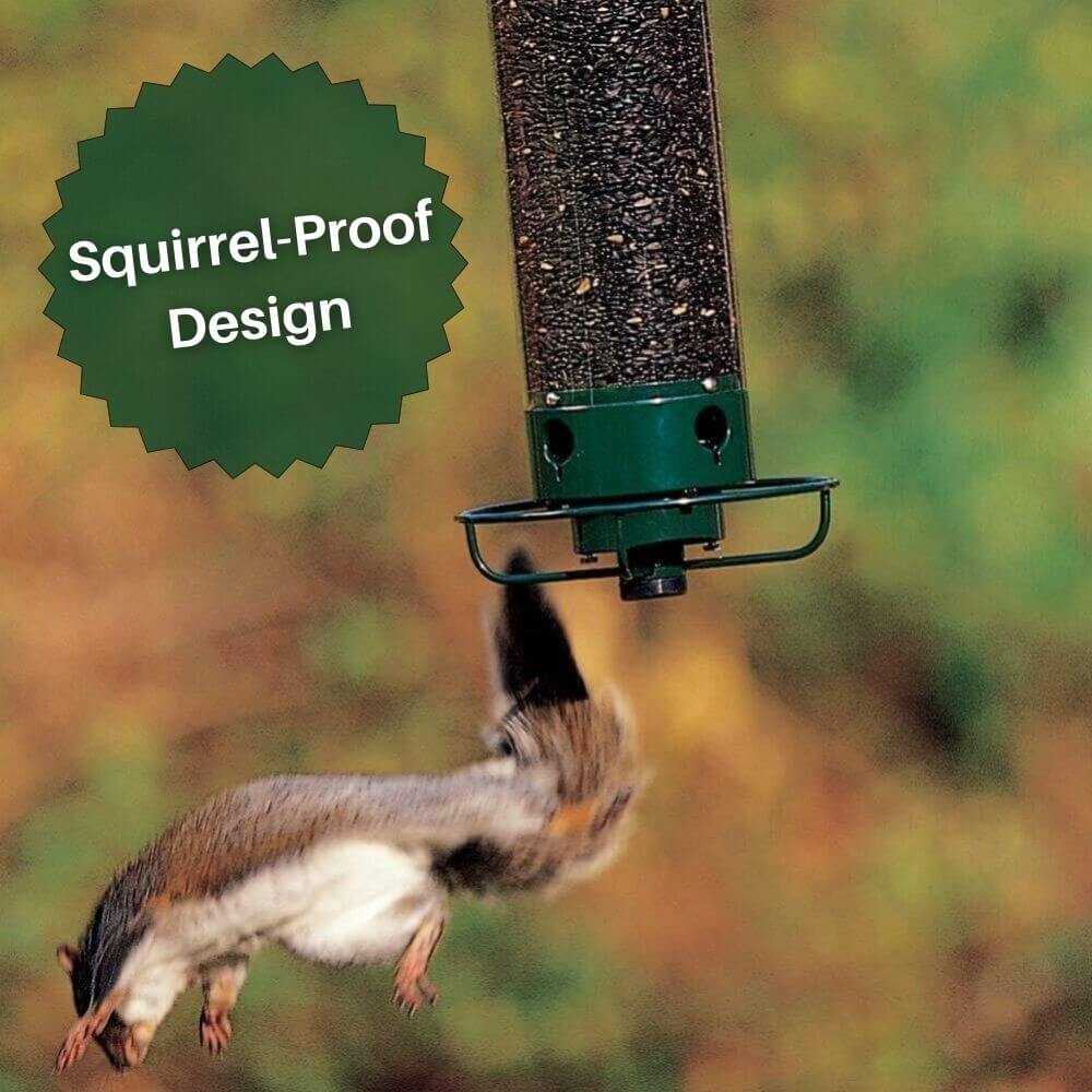 SpinAway™ Anti-Squirrel Bird Feeder