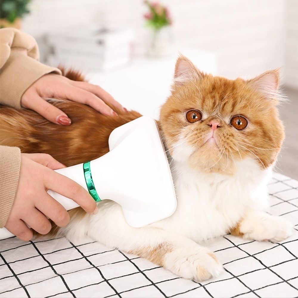 VelvetPaws™ QuickDry Pet Styler