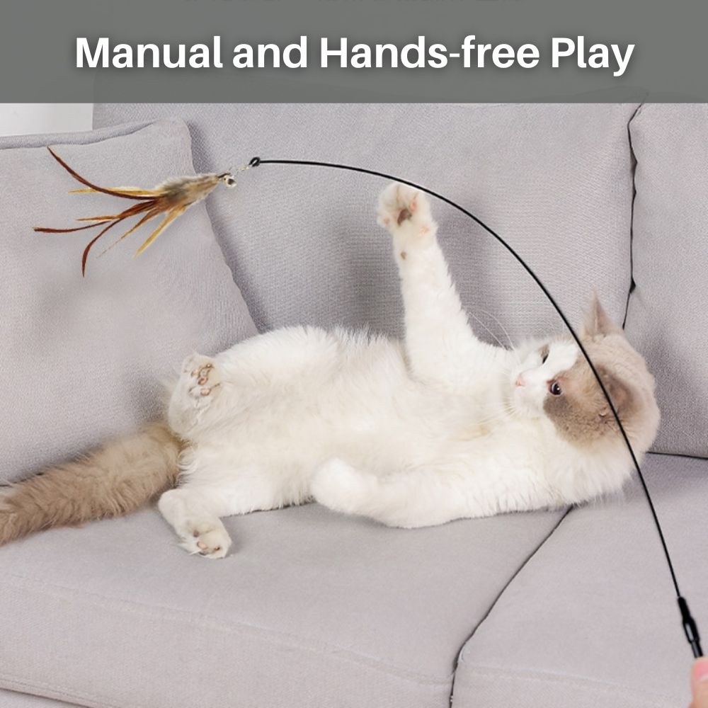 Feather Frenzy™ Interactive Cat Toy