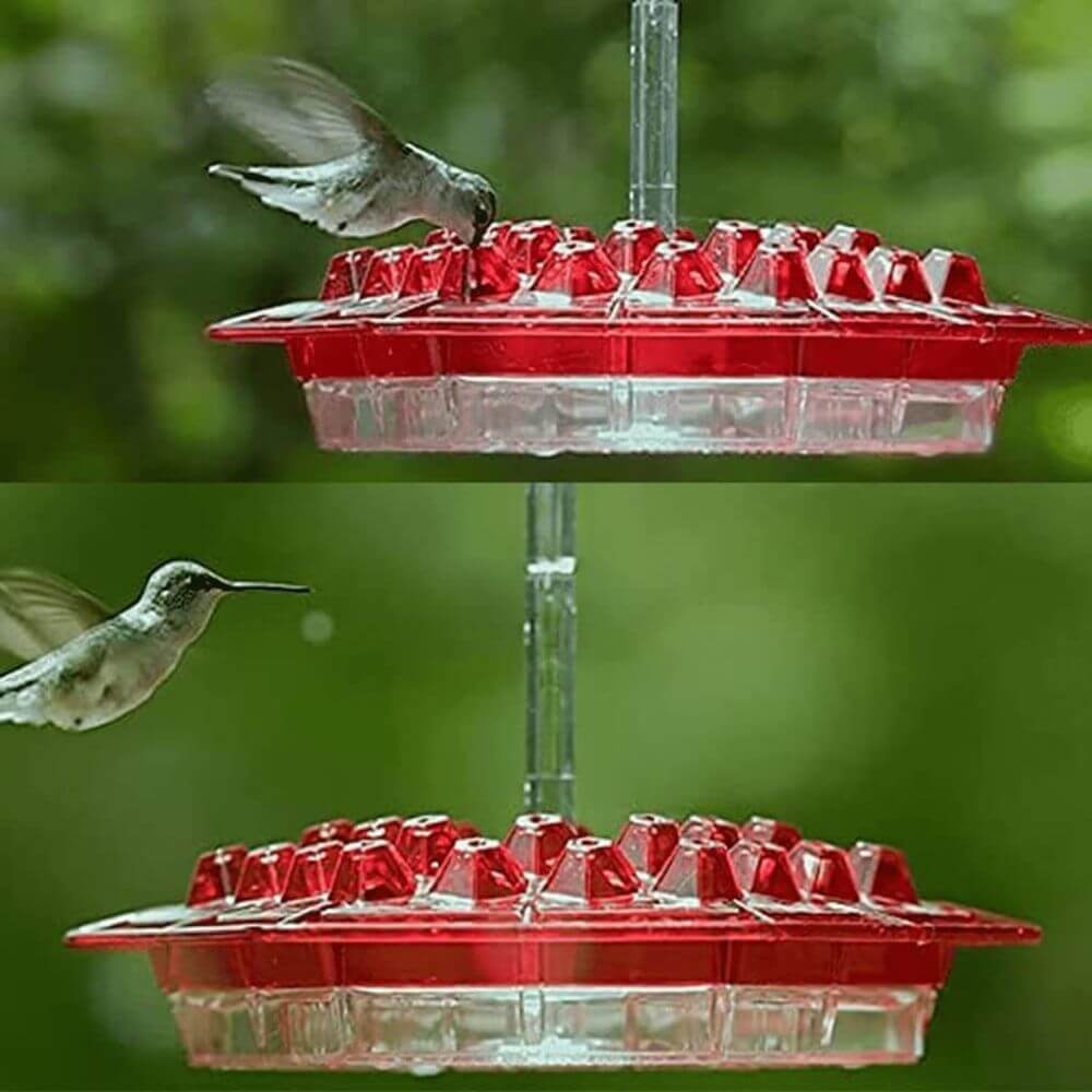 Hummingbird Harmony™ Hexagonal Feeder