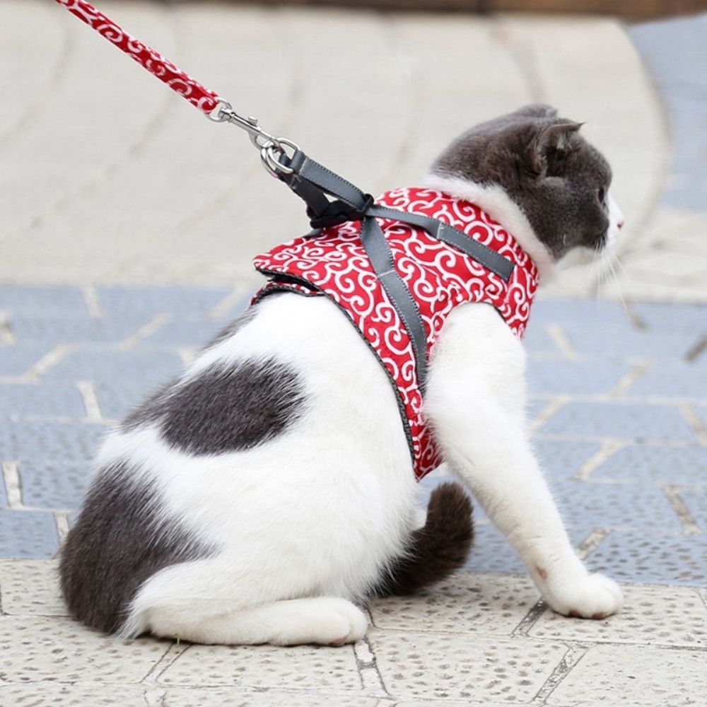 Purrfect Paws™ Cat Harness And Leash Set