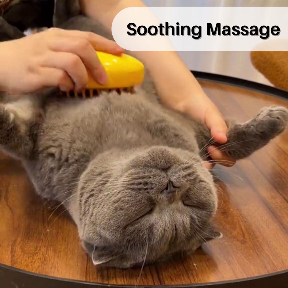PurrSpa™ Steamy Cat Brush Special Offer