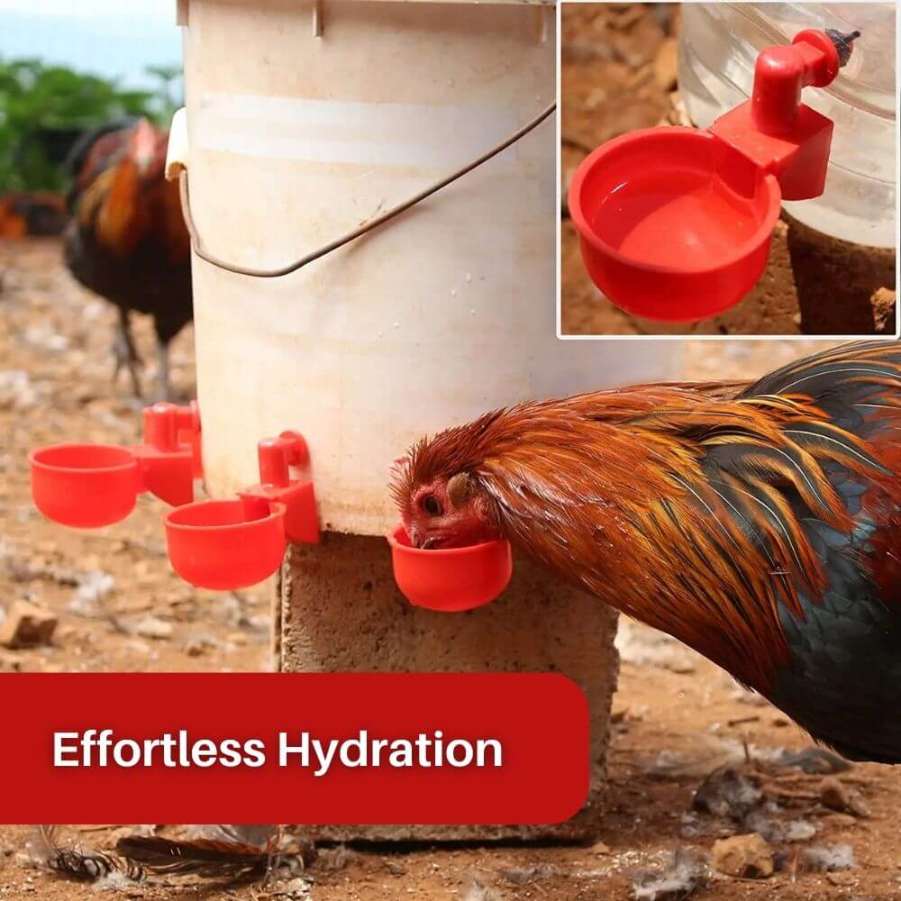 EverSpring™ Automatic Chicken Water System