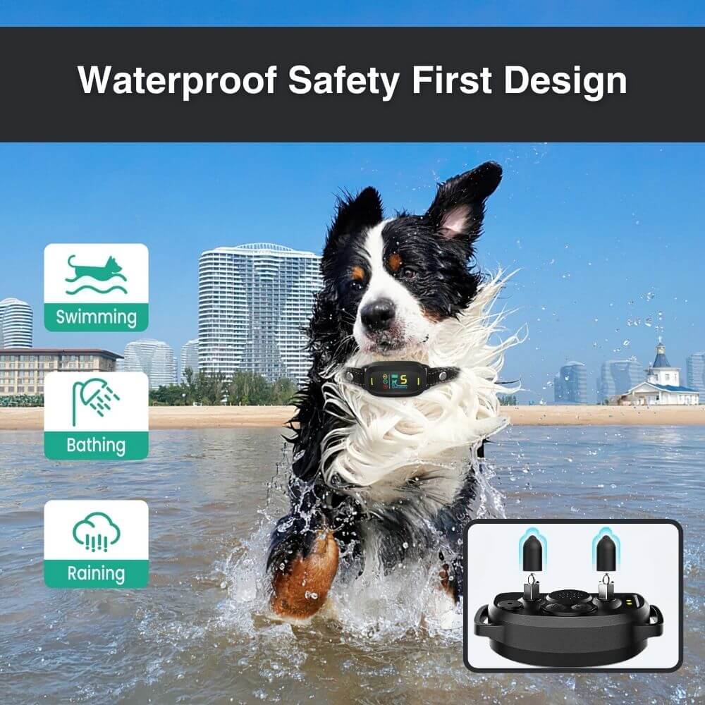 BarkMaster™ Anti Barking Training Collar