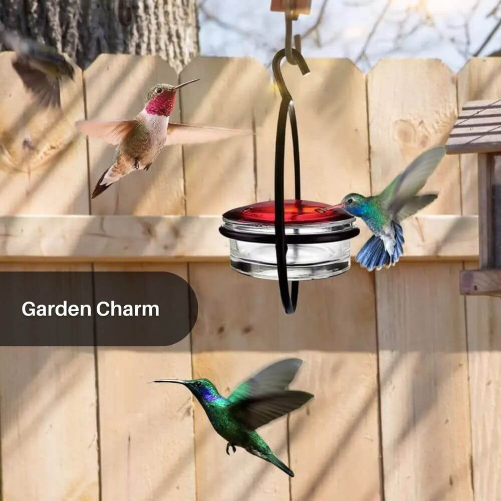 BloomHaven™ Hummingbird Feeder