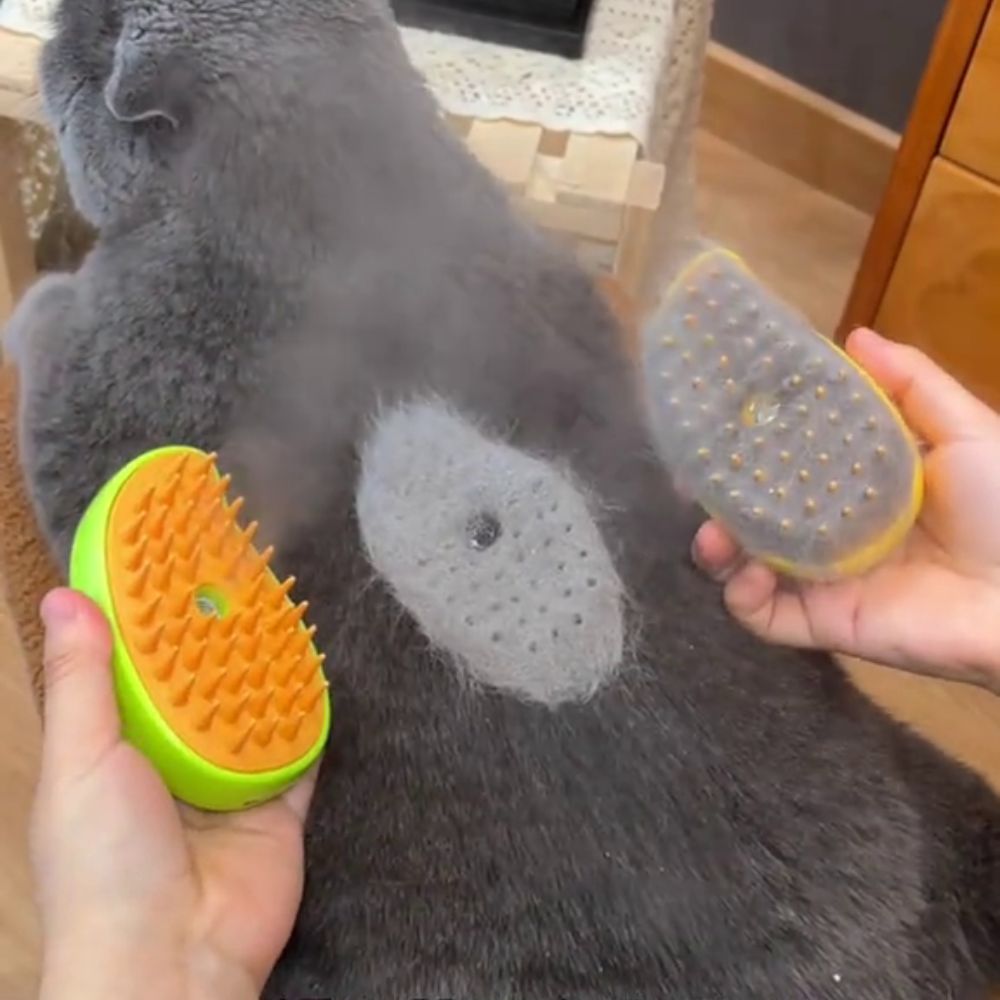 PurrSpa™ Steamy Cat Brush Special Offer