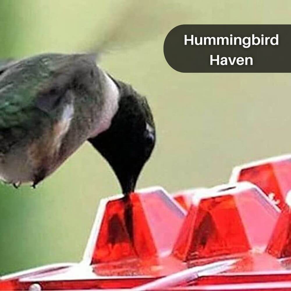 Hummingbird Harmony™ Hexagonal Feeder