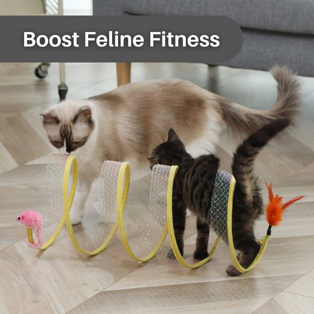 FelineFun™ Self-play Cat Hunting Spiral Tunnel Toy