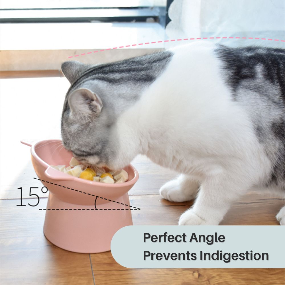 Meow Majesty™ Ergonomic Cat Bowl