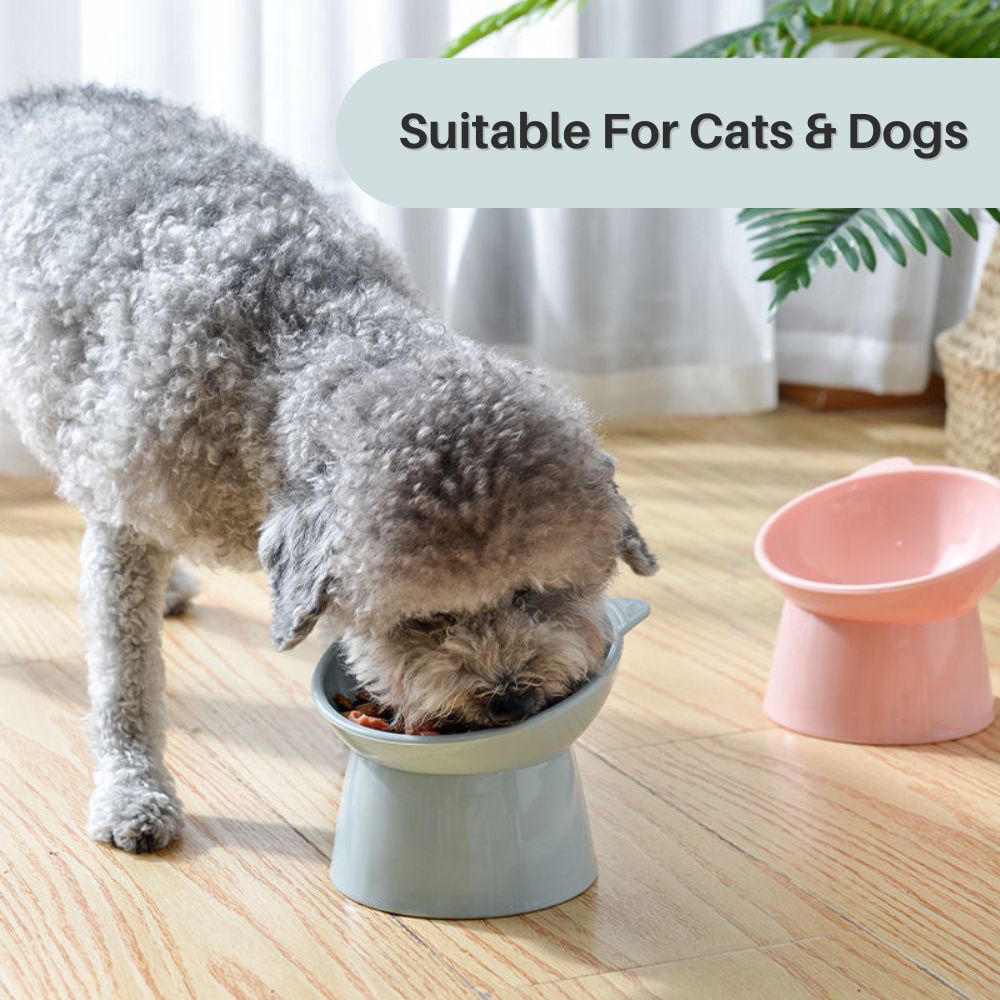 Meow Majesty™ Ergonomic Cat Bowl