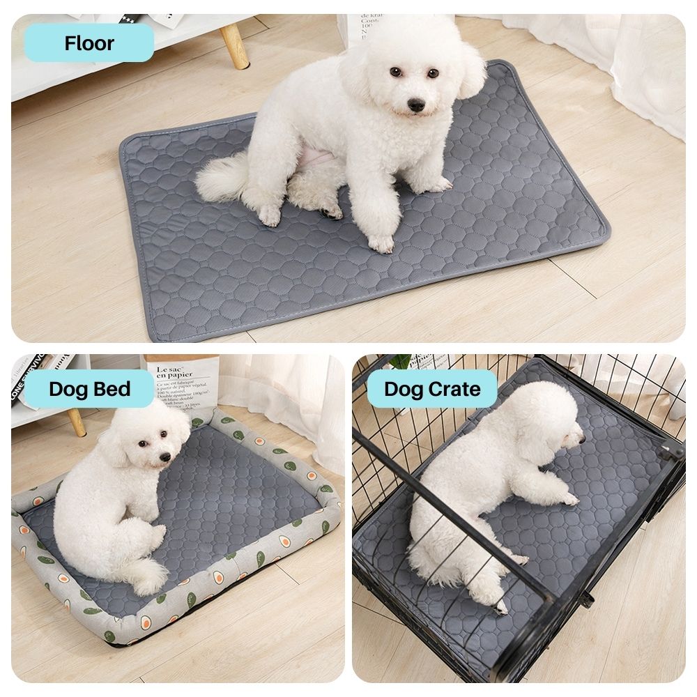 Potty Pal™ Reusable Pet Pads