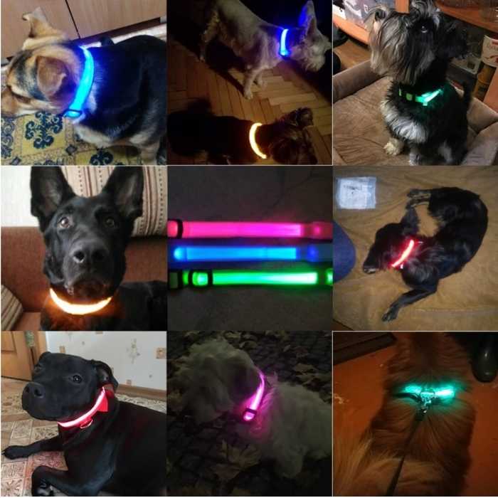 Light Up Safe-At-Night Pet Collar