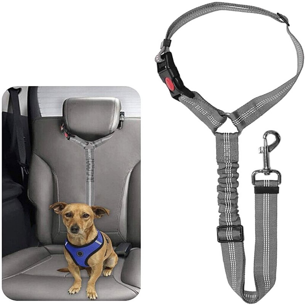 LeashBelt™ 2-In-1 Pet Seat Belt And Leash