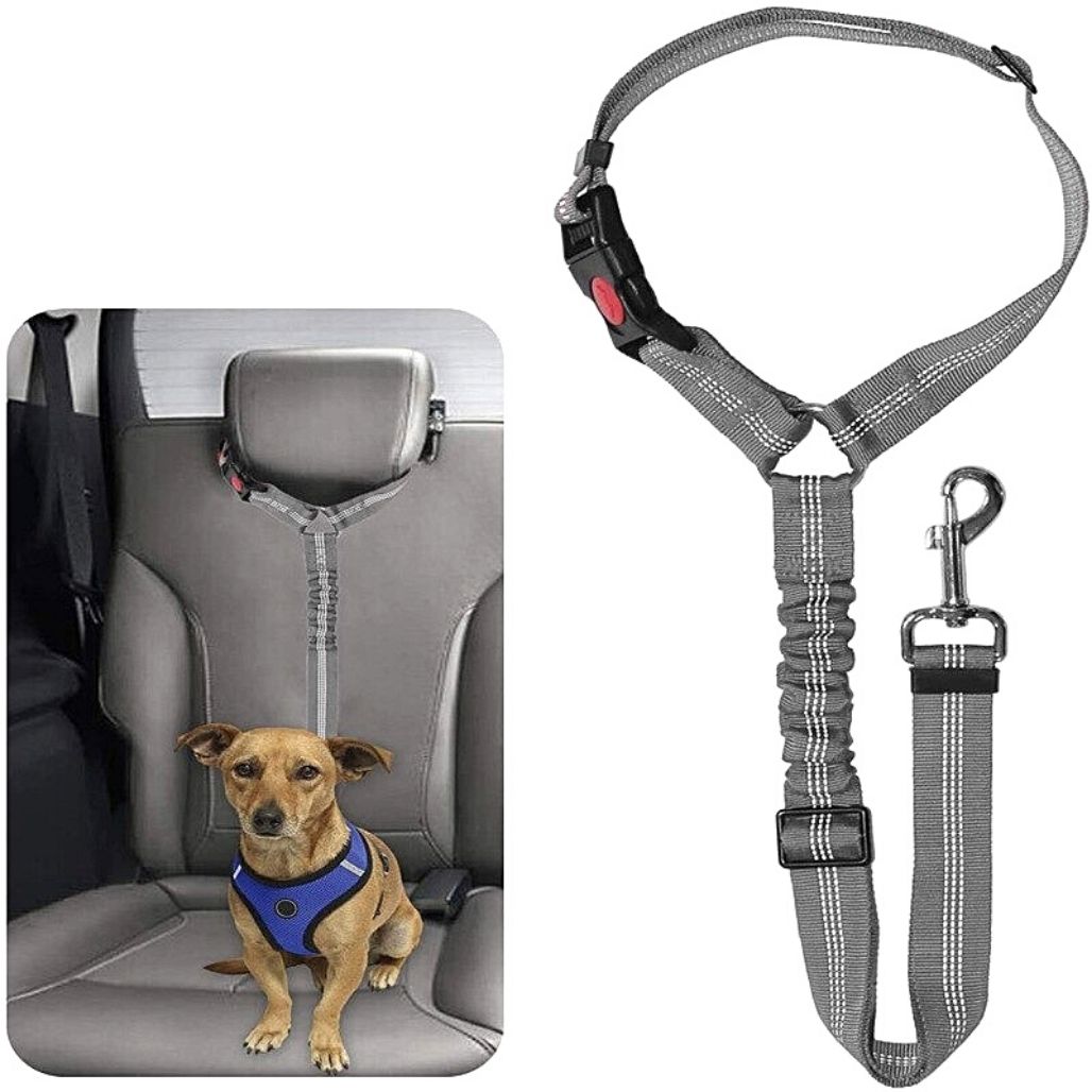 LeashBelt™ 2-In-1  Pet Seat Belt And Leash