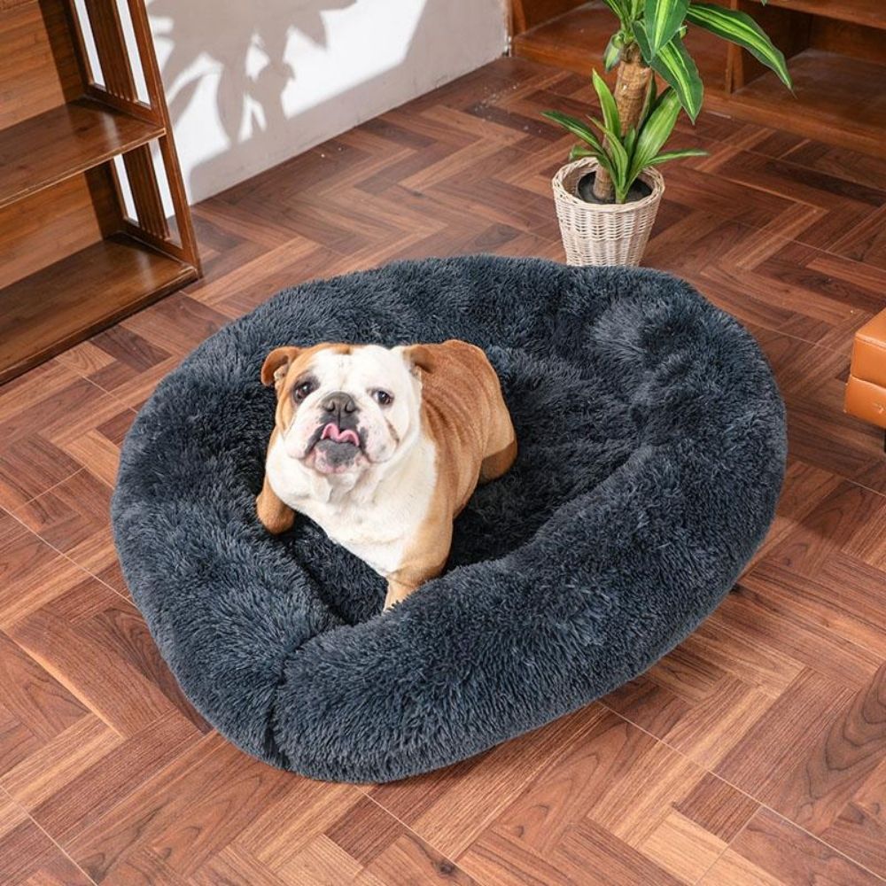 Fluffy Calming Pet Bed For Dogs And Cats