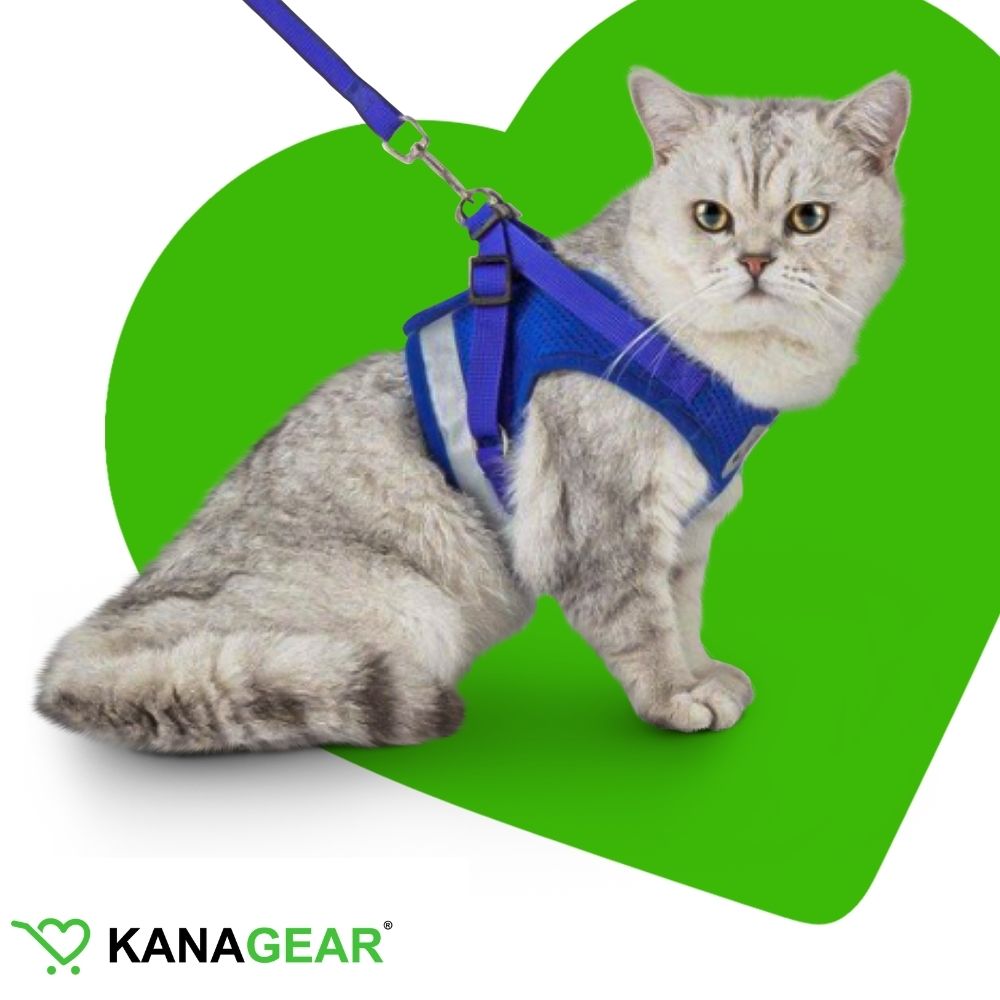 EasyWalk™ Cat Harness and Leash Set