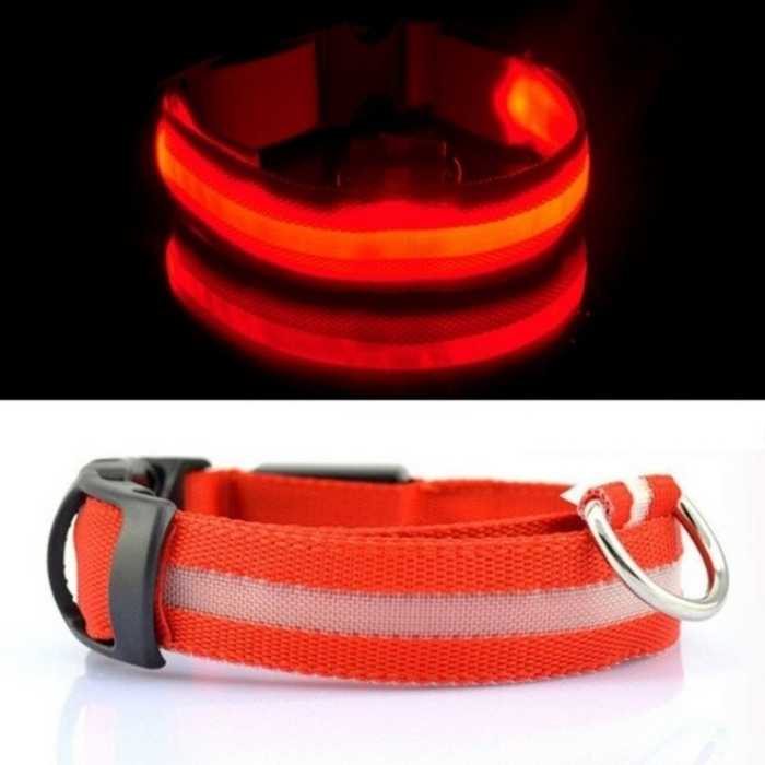 Light Up Safe-At-Night Pet Collar