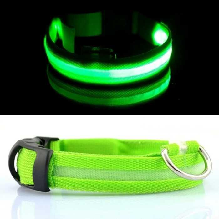 Light Up Safe-At-Night Pet Collar