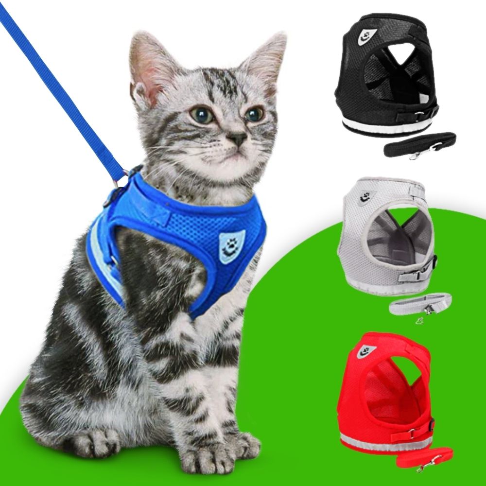 EasyWalk™ Cat Harness and Leash Set