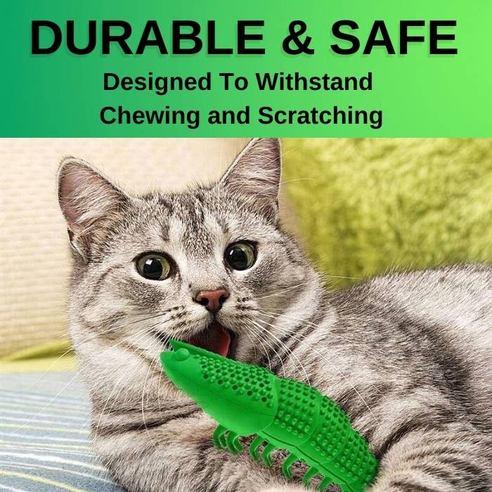 Teeth Cleaning Shrimp Toy