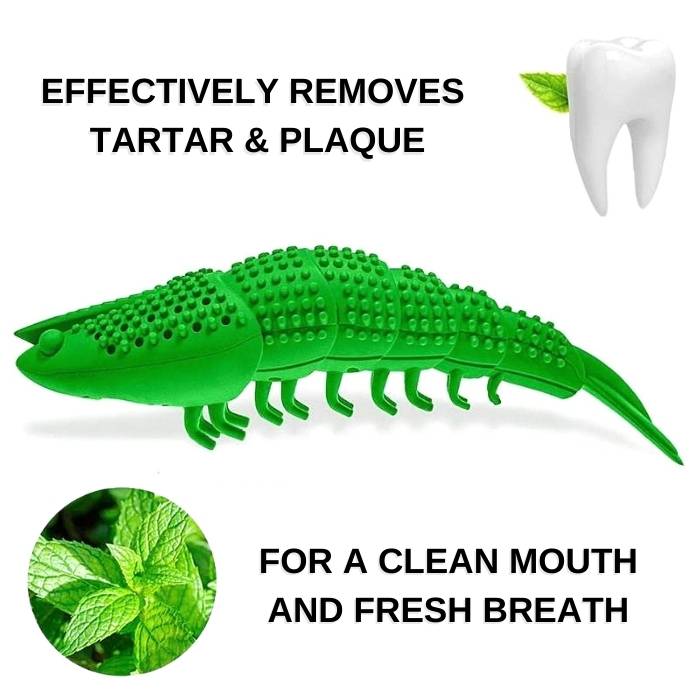 Teeth Cleaning Shrimp Toy