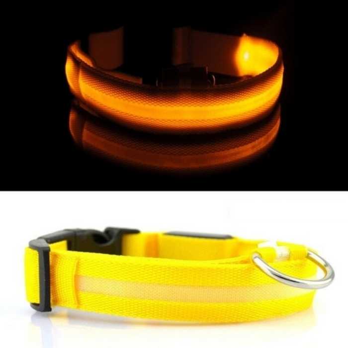 Light Up Safe-At-Night Pet Collar