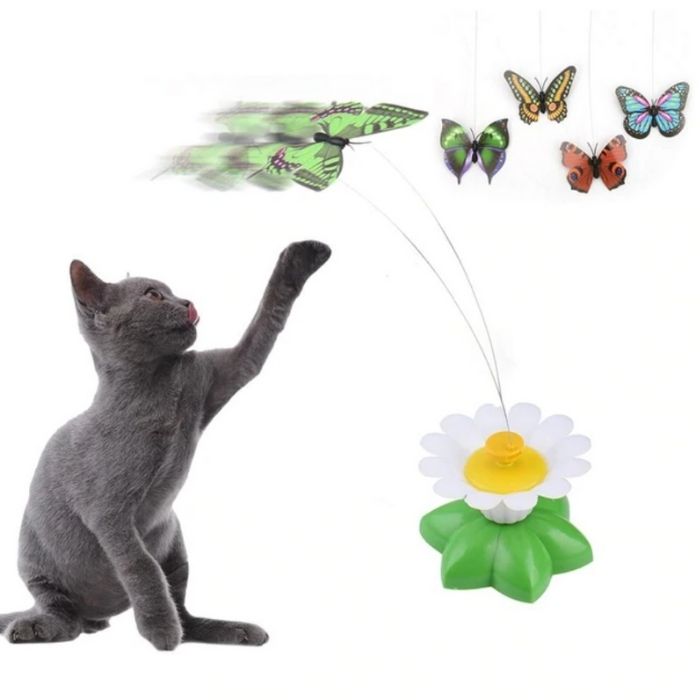 Interactive Bird and Butterfly Cat Toy