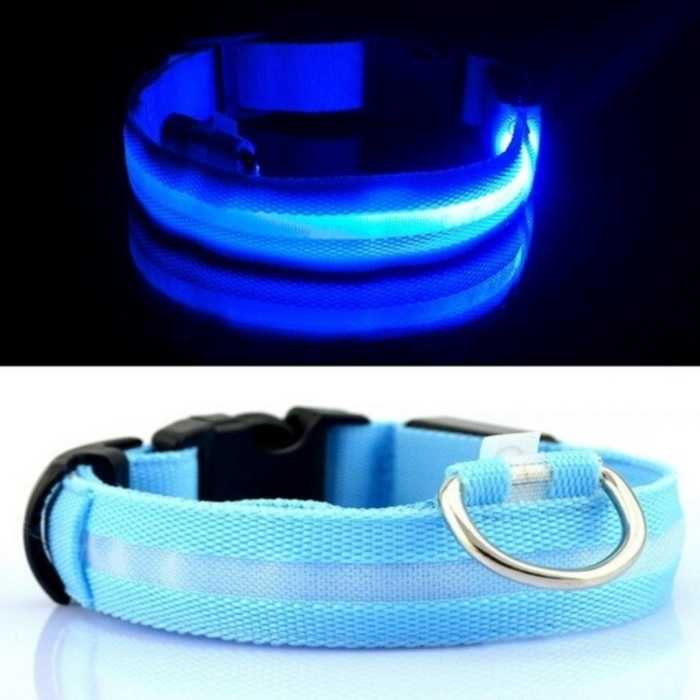 Light Up Safe-At-Night Pet Collar