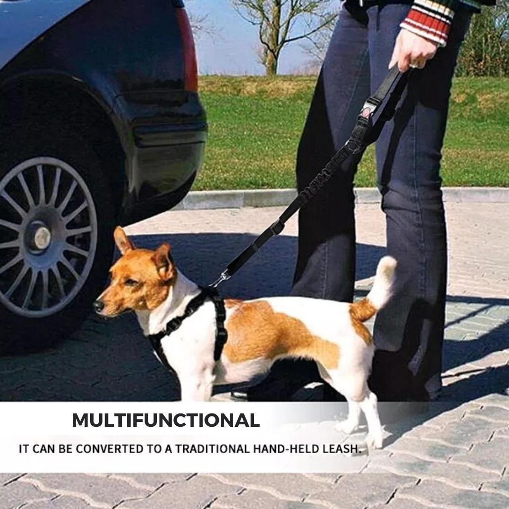 LeashBelt™ 2-In-1 Pet Seat Belt And Leash