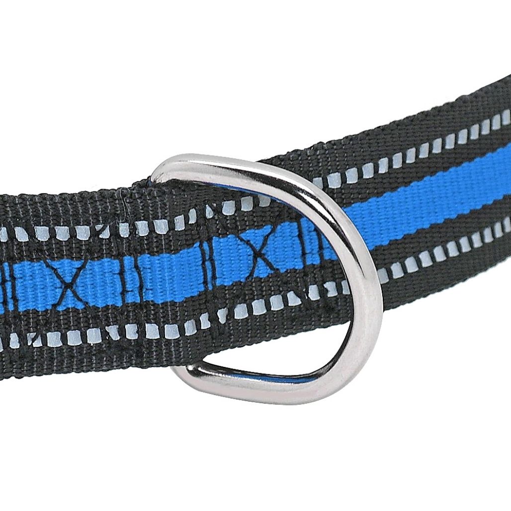 Personalized Safe-At-Night Dog Collar