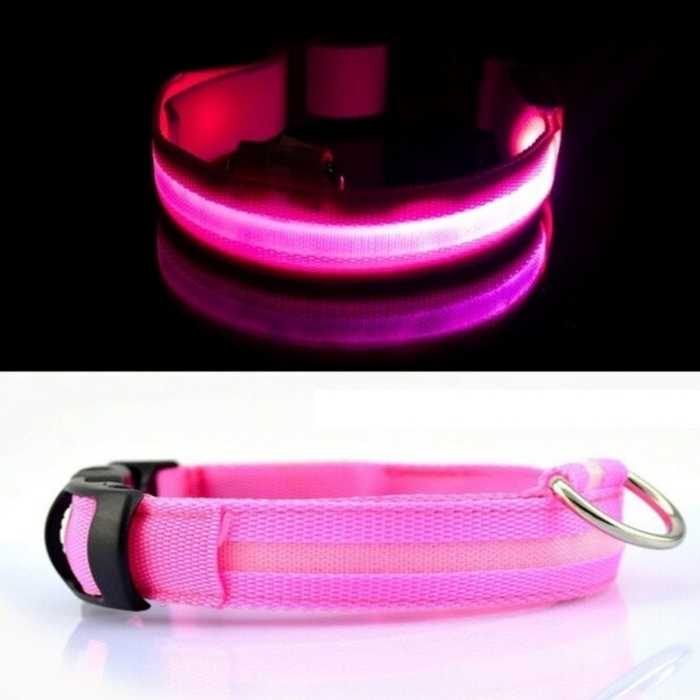 Light Up Safe-At-Night Pet Collar