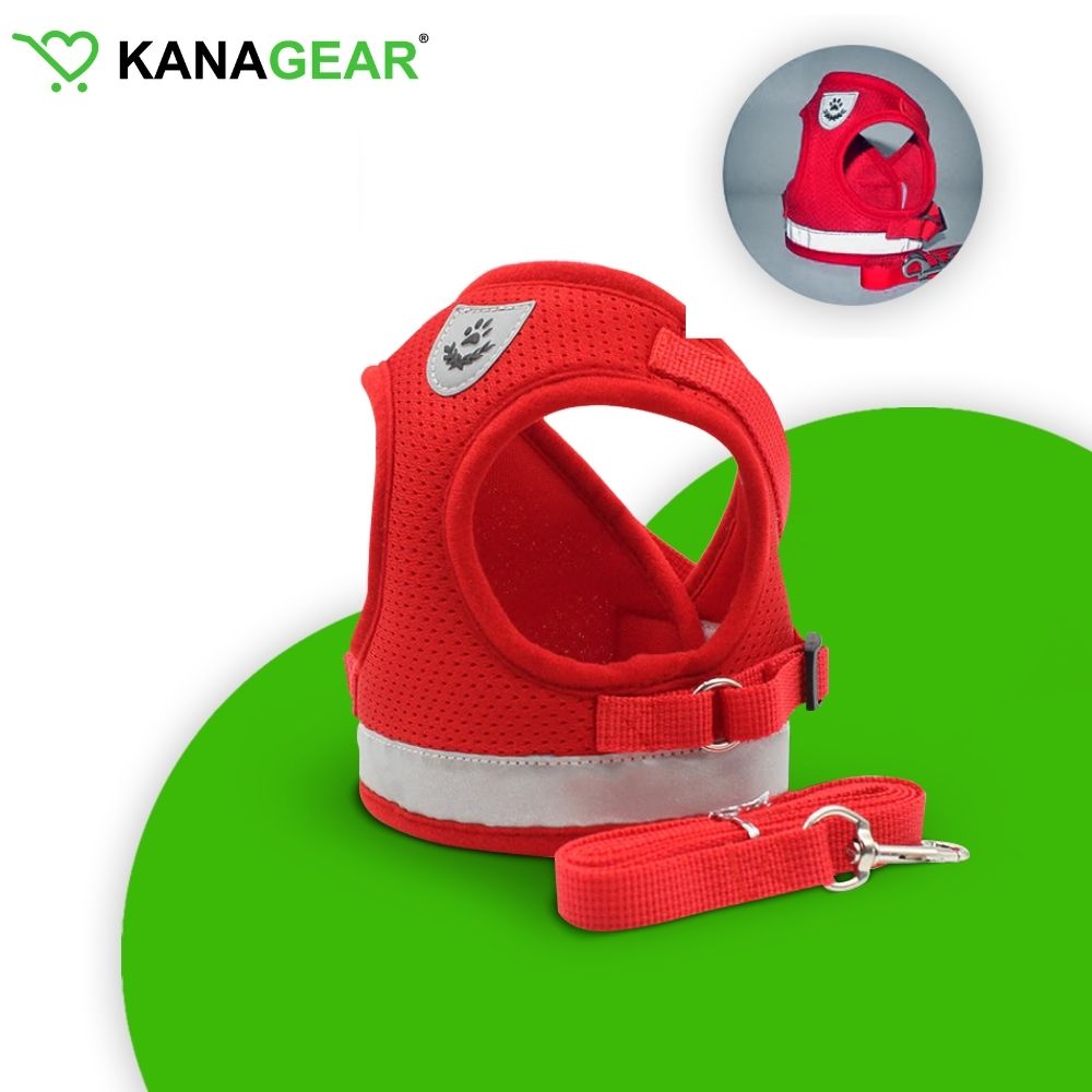 EasyWalk™ Cat Harness and Leash Set