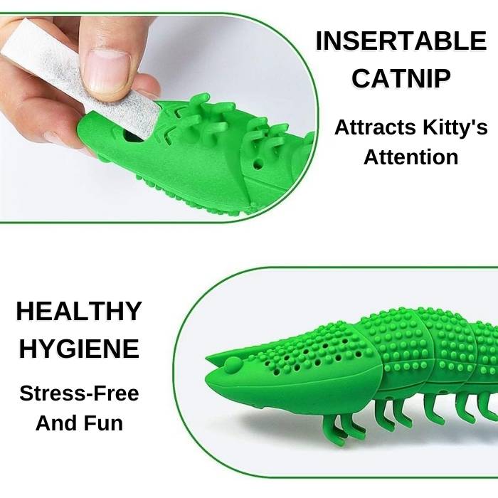 Teeth Cleaning Shrimp Toy