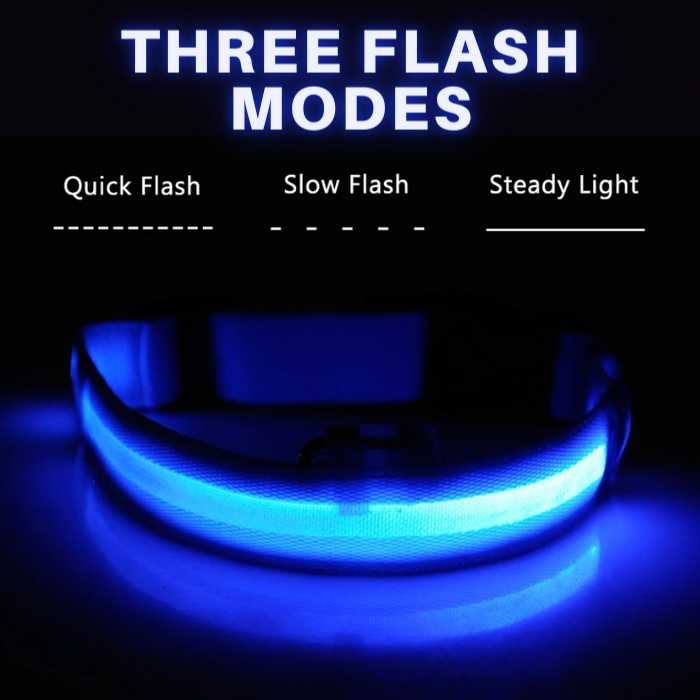 Light Up Safe-At-Night Pet Collar
