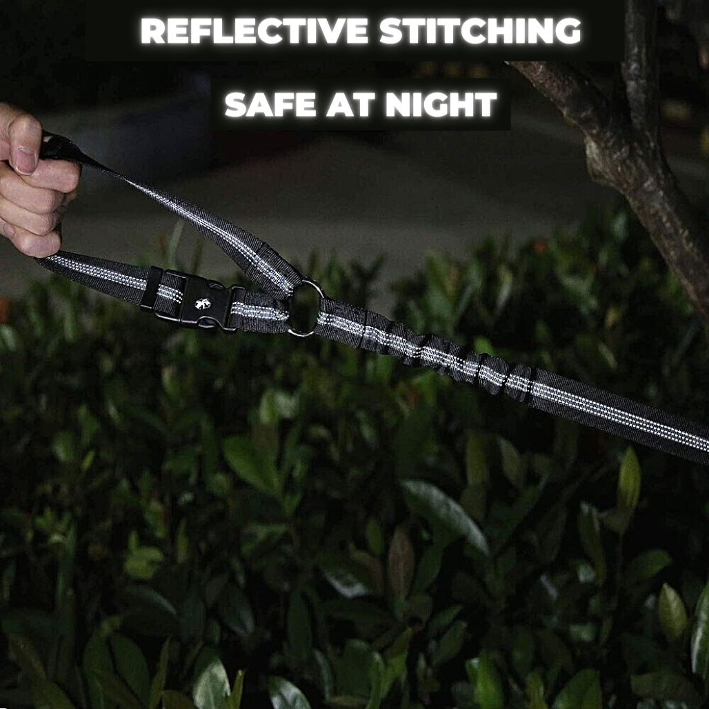 LeashBelt™ 2-In-1 Pet Seat Belt And Leash
