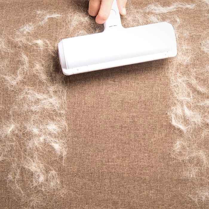 EZ Clean™ Pet Hair Remover