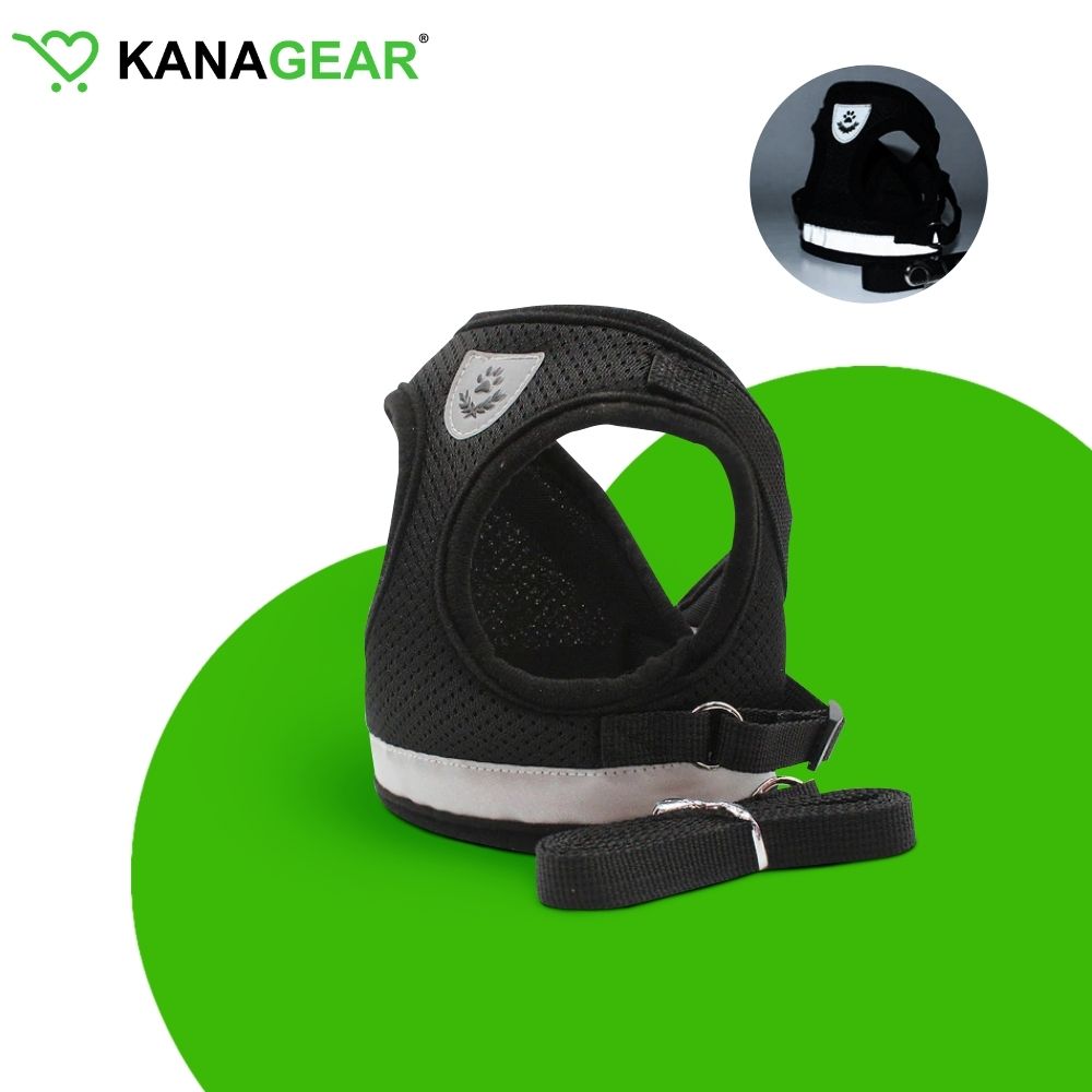 EasyWalk™ Cat Harness and Leash Set