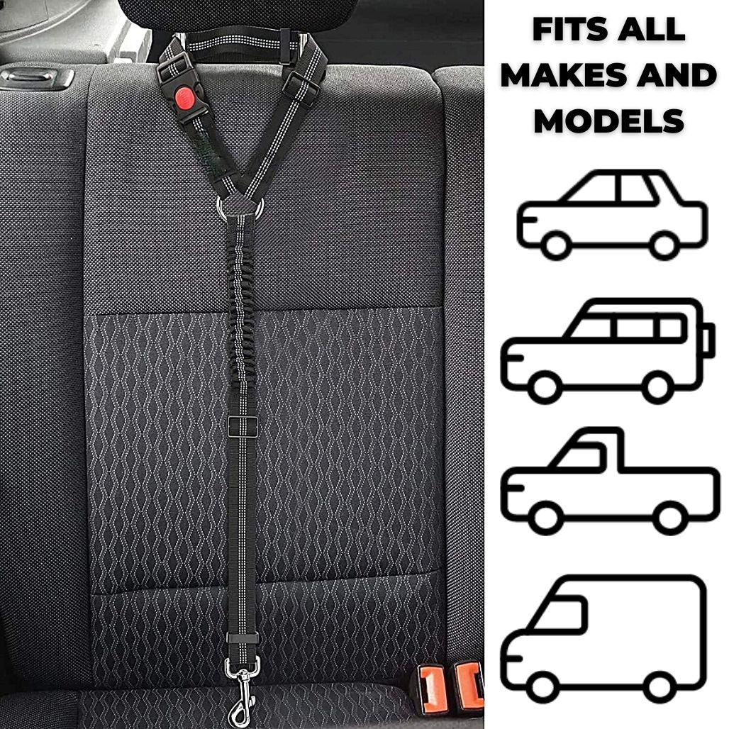 LeashBelt™ 2-In-1 Pet Seat Belt And Leash