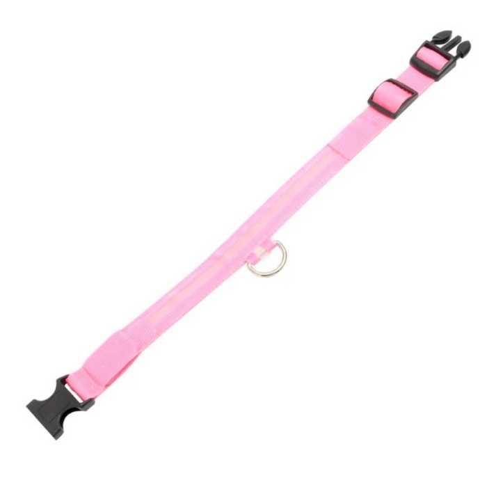 Light Up Safe-At-Night Pet Collar